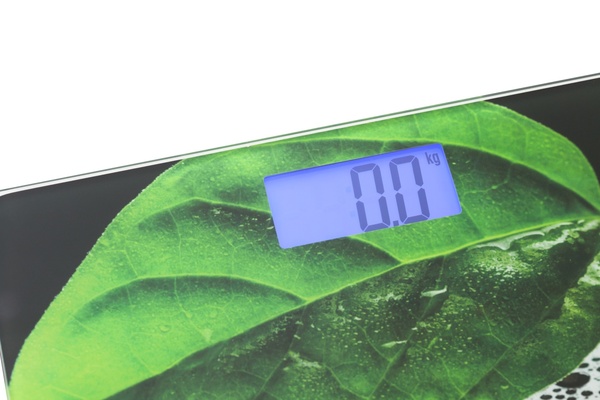 Весы напольные Mesko MS 8149 (электрон, стекло, 150/0.1кг.) Green купить по самой низкой цене
