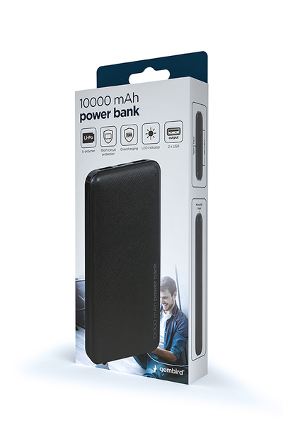 Power Bank GEMBIRD PB10-02 (Li-Po, 10000мАч, BLACK) купить по самой низкой цене
