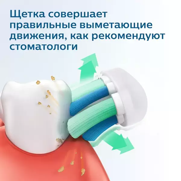 Щетка зубная электрич. Philips Sonicare HX3651/11 (питание аккум.) купить по самой низкой цене